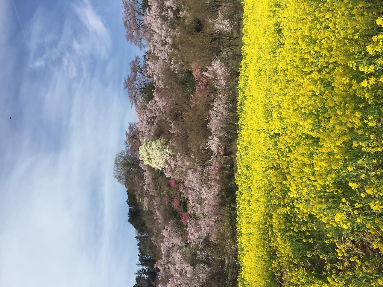 Hotel Sunroute Fukushima Eksteriør billede